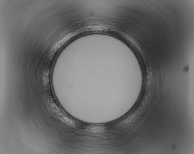 X0000115320778200911301557