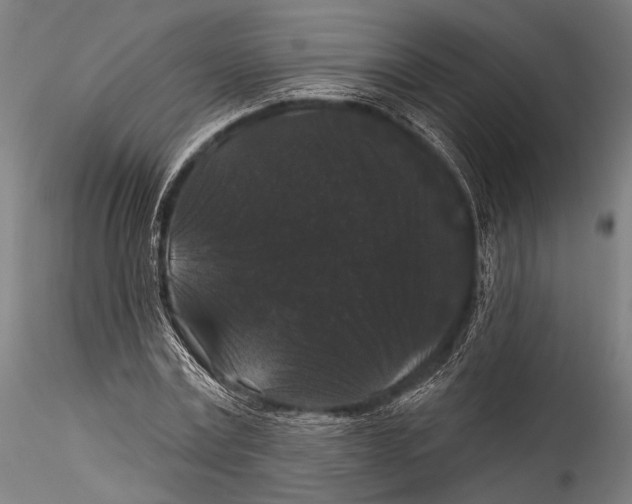 X0000115320779200911301557