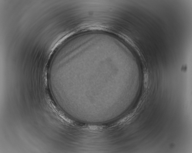 X0000115320782200911301557