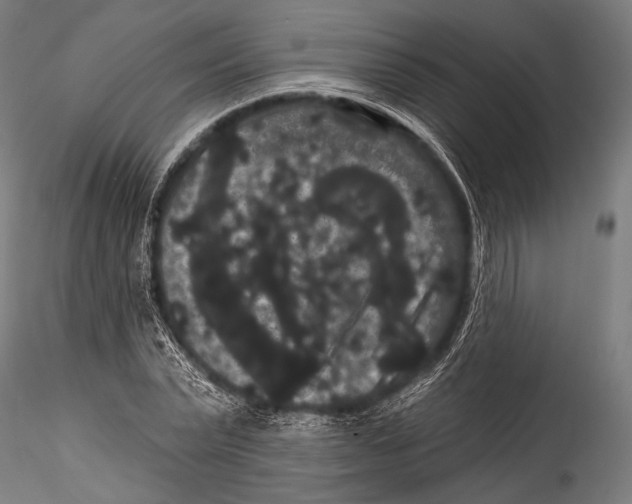 X0000115320783200911301557