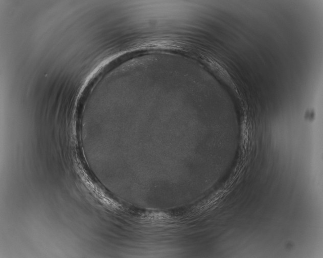 X0000115320784200911301557