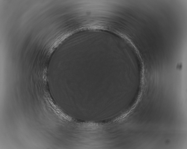 X0000115320785200911301557