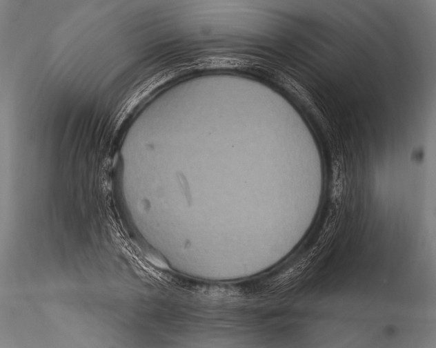 X0000115320786200911301557