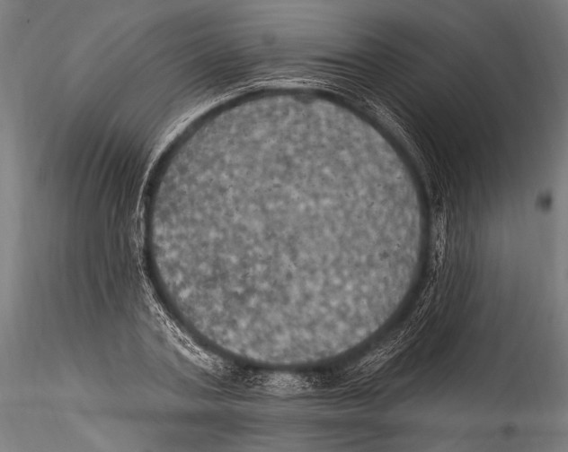 X0000115320787200911301557