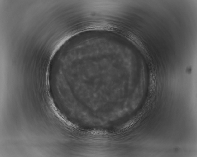 X0000115320788200911301557