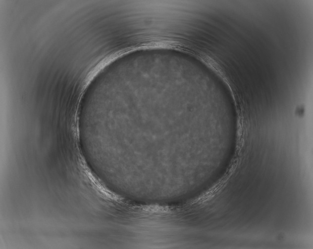 X0000115320789200911301557