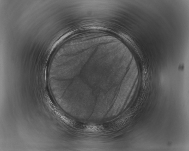 X0000115320790200911301557