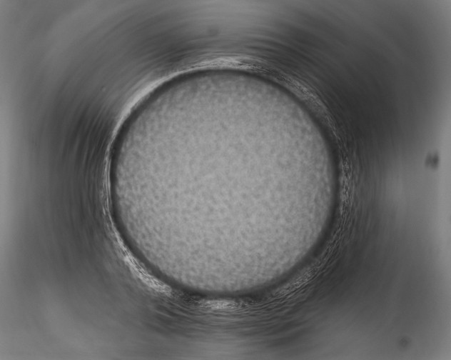 X0000115320792200911301557