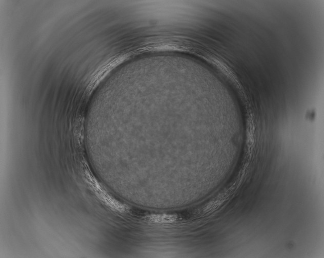 X0000115320793200911301557