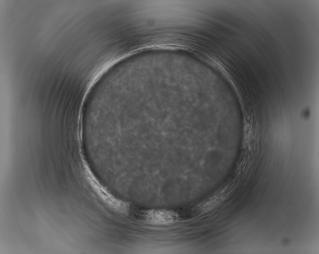 X0000115320795200911301557