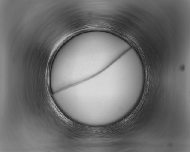 X0000115320796200911301557