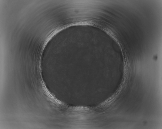 X0000115320797200911301557