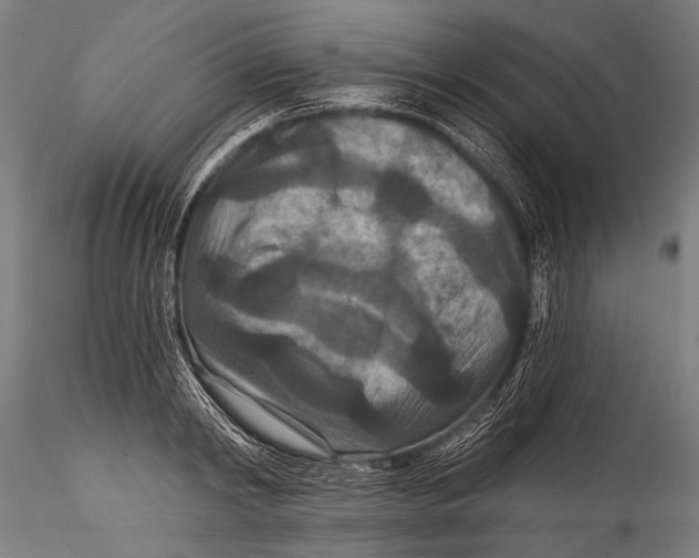 X0000115320798200911301557