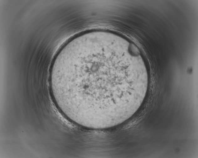 X0000115320799200911301557