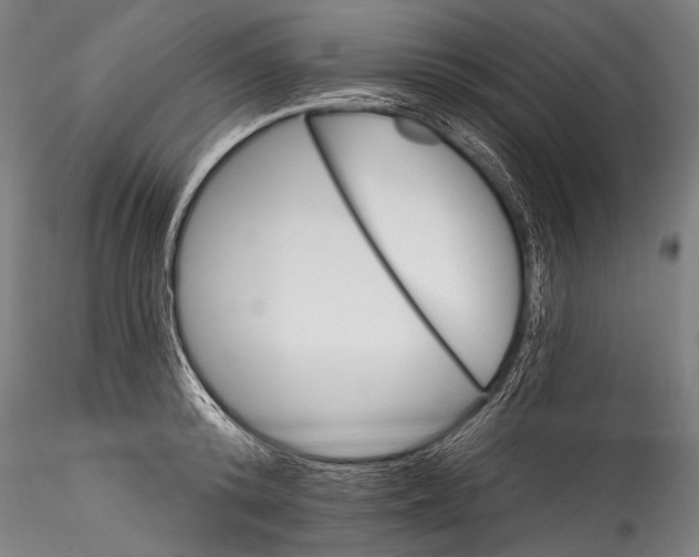 X0000115320800200911301557