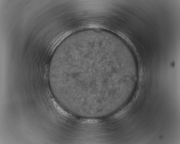 X0000115320801200911301557