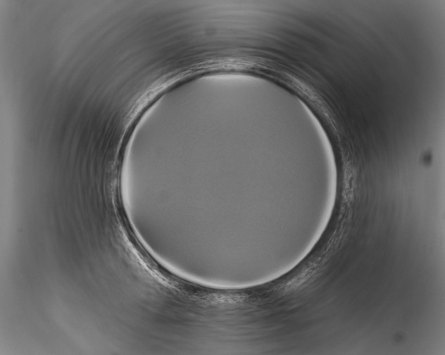 X0000115320802200911301557