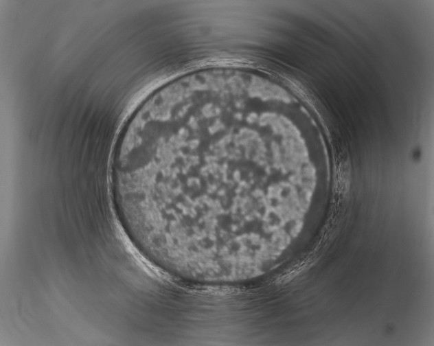 X0000115320803200911301557