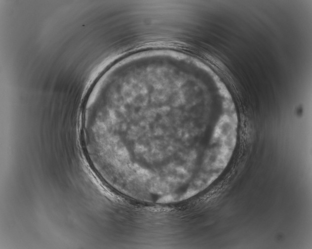 X0000115320804200911301557