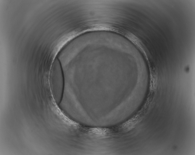 X0000115320805200911301557