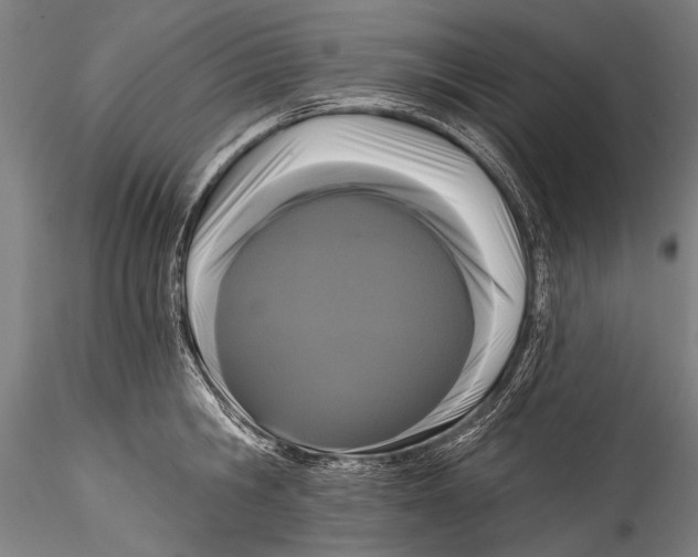 X0000115320806200911301557