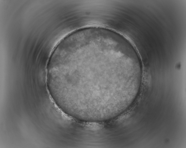 X0000115320807200911301557