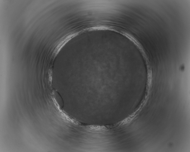 X0000115320809200911301557