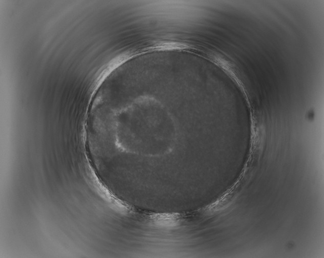 X0000115320810200911301557