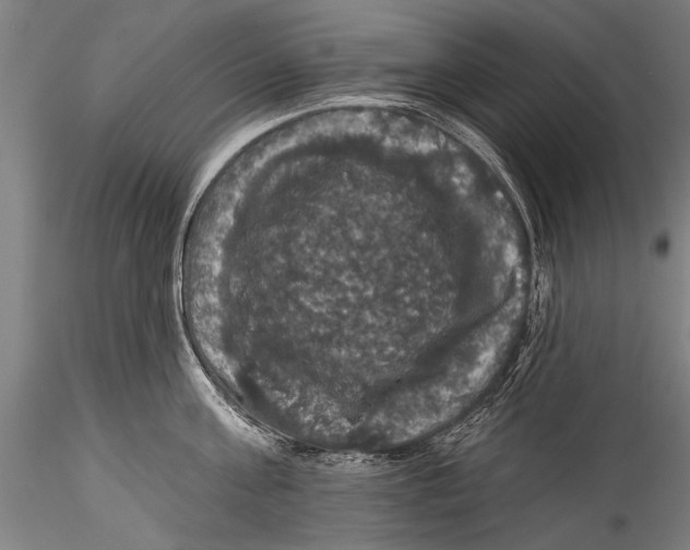 X0000115320811200911301557