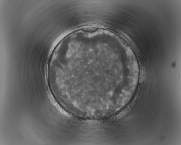 X0000115320812200911301557