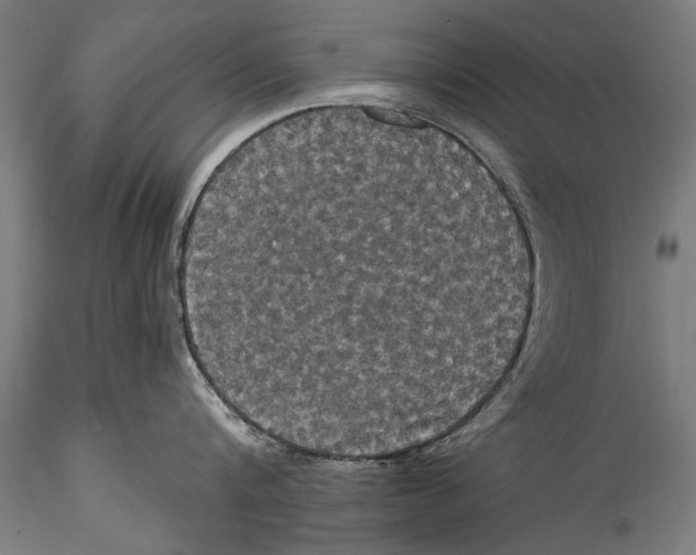 X0000115320816200911301557