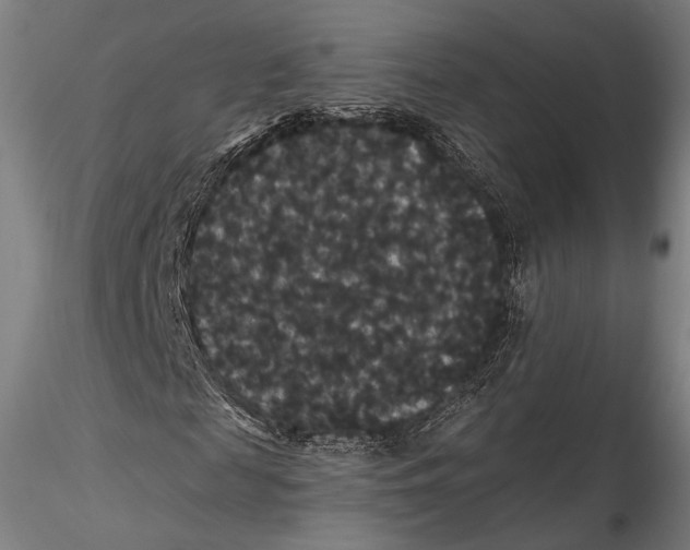 X0000115320817200911301556