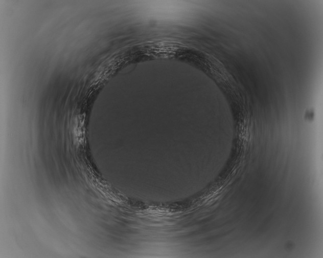 X0000115320818200911301556