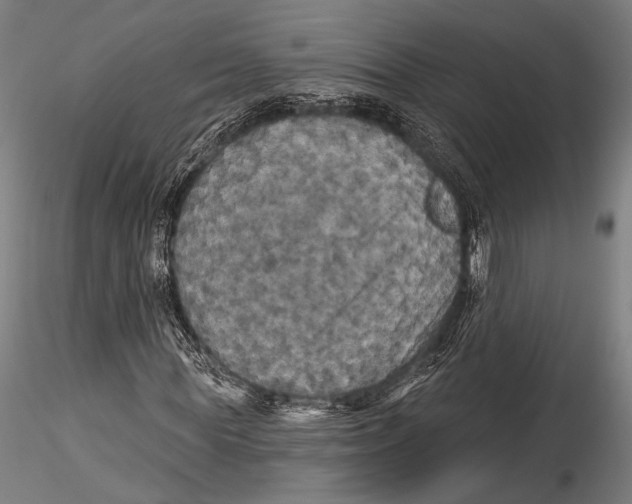 X0000115320819200911301556