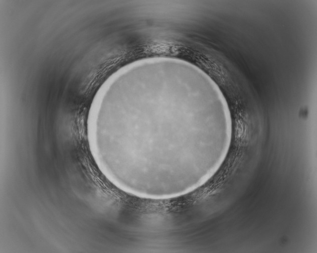 X0000115320820200911301556