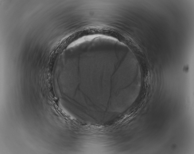 X0000115320822200911301556