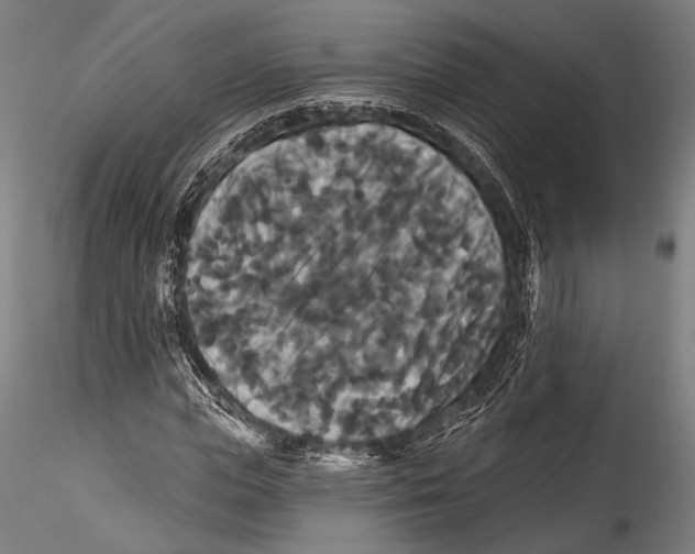 X0000115320823200911301556