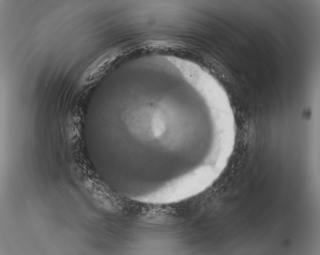 X0000115320824200911301556