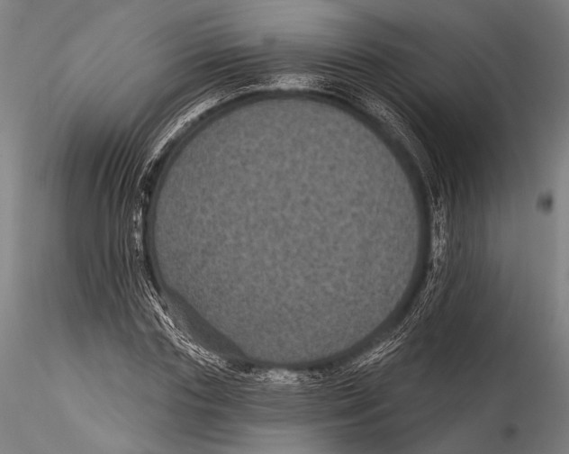 X0000115320827200911301556