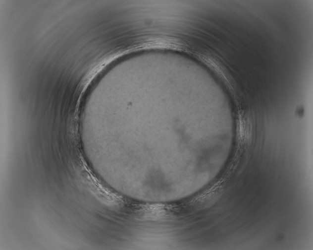 X0000115320828200911301556