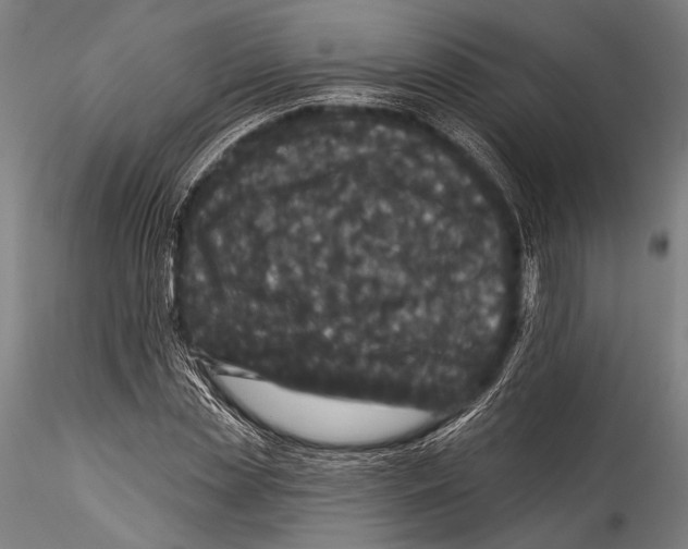 X0000115320829200911301556