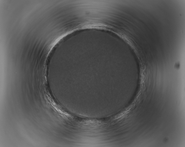 X0000115320830200911301556