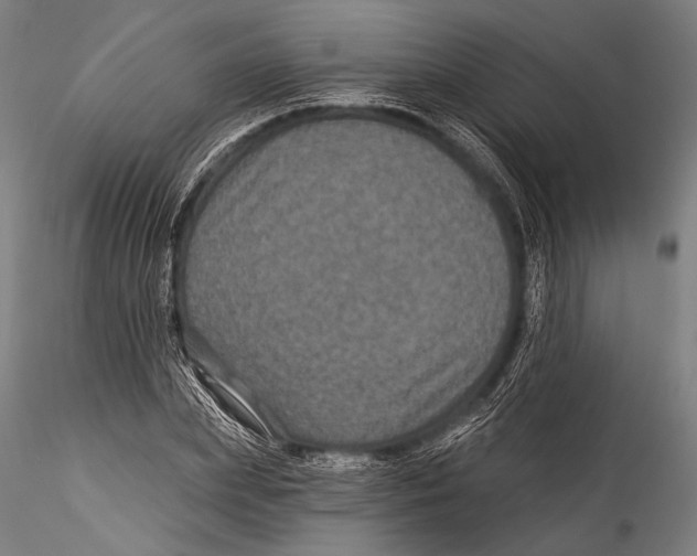 X0000115320831200911301556