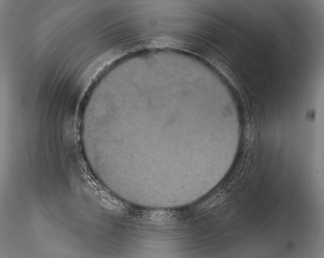 X0000115320832200911301556