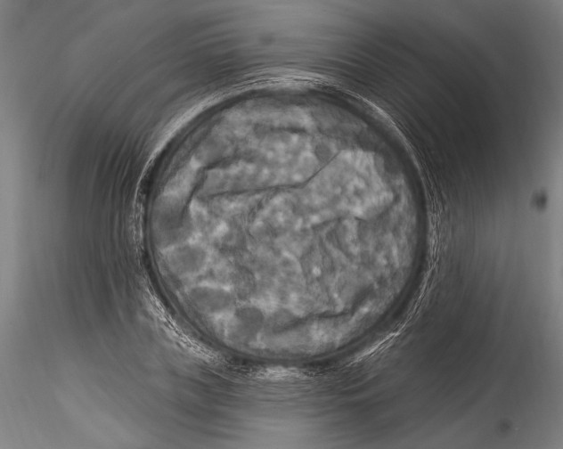 X0000115320835200911301556