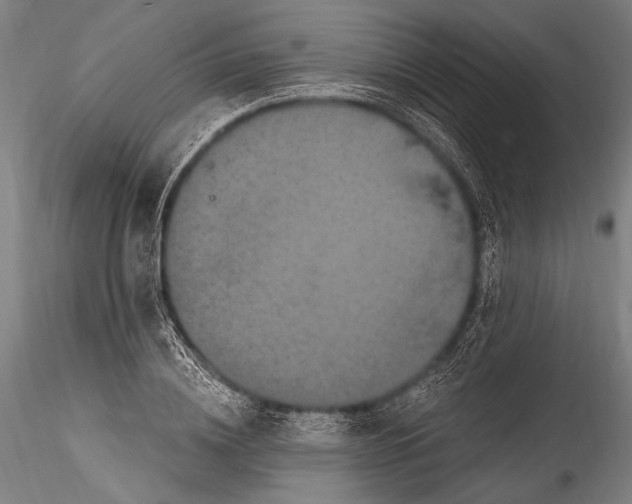 X0000115320836200911301556