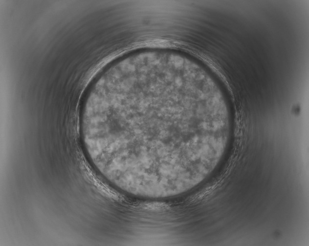 X0000115320837200911301556