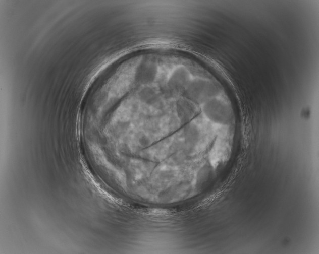 X0000115320839200911301556