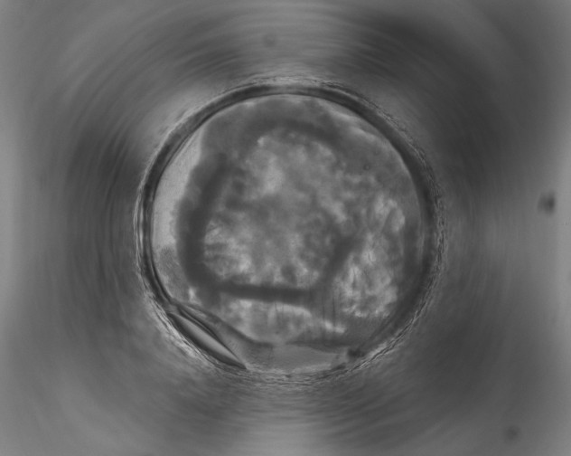 X0000115320840200911301556