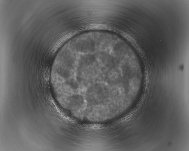 X0000115320841200911301556